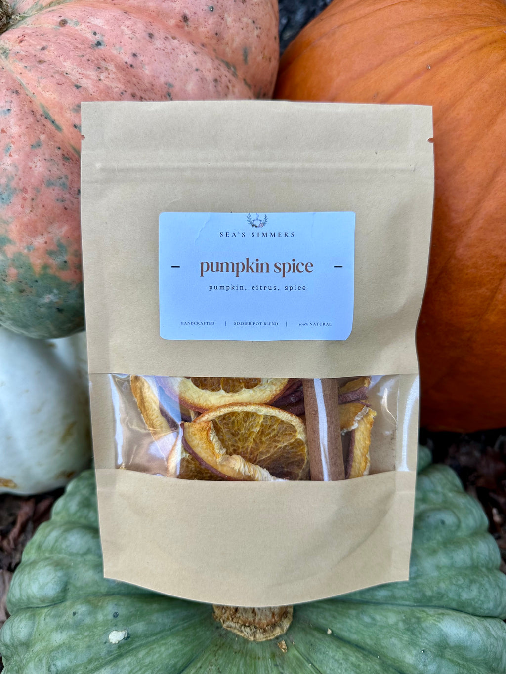 Pumpkin Spice Simmer Pot Blend